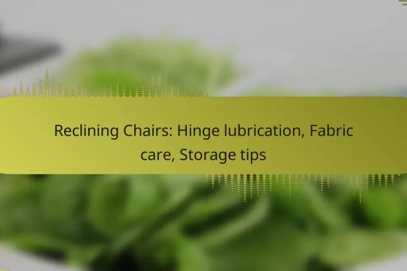 Reclining Chairs: Hinge lubrication, Fabric care, Storage tips