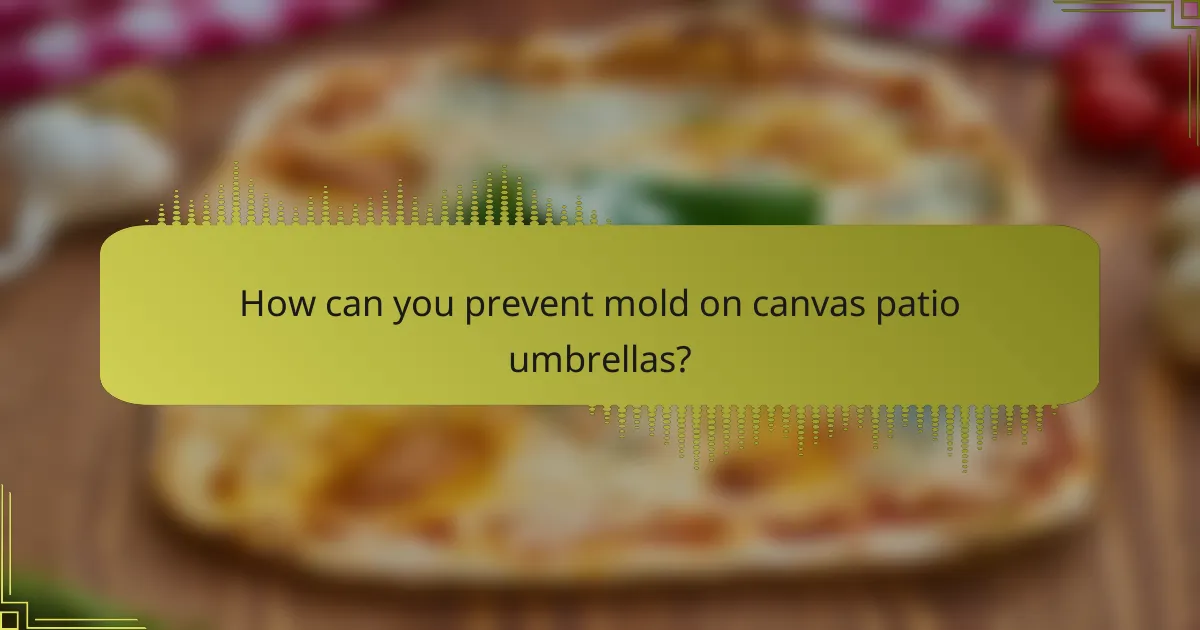 How can you prevent mold on canvas patio umbrellas?