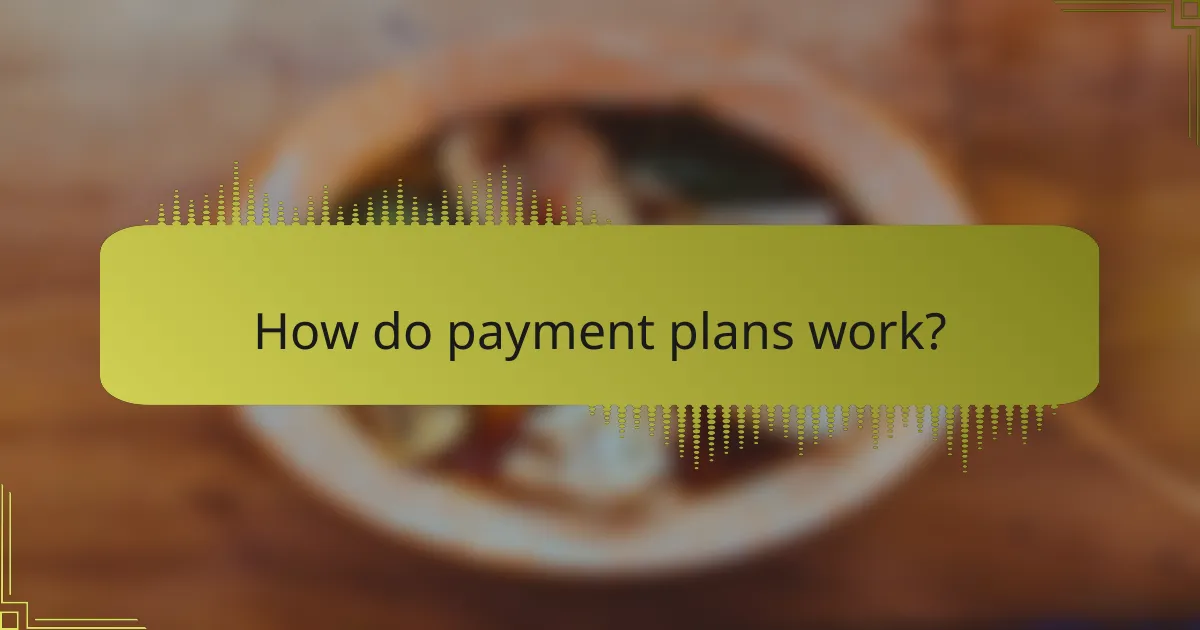 How do payment plans work?