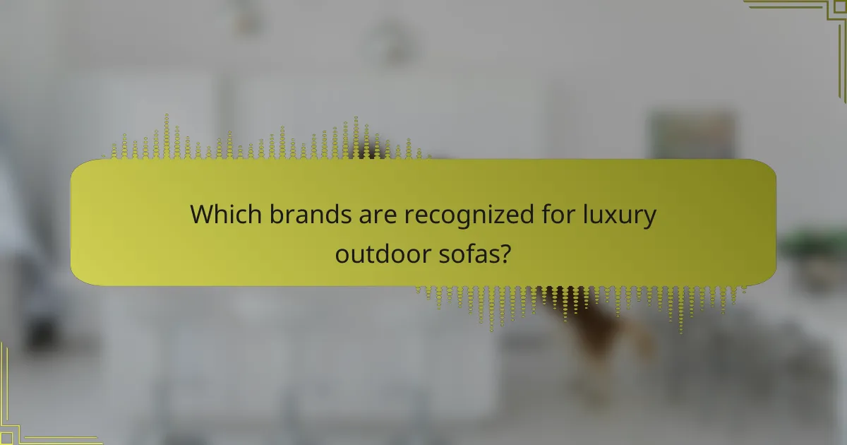 Which brands are recognized for luxury outdoor sofas?