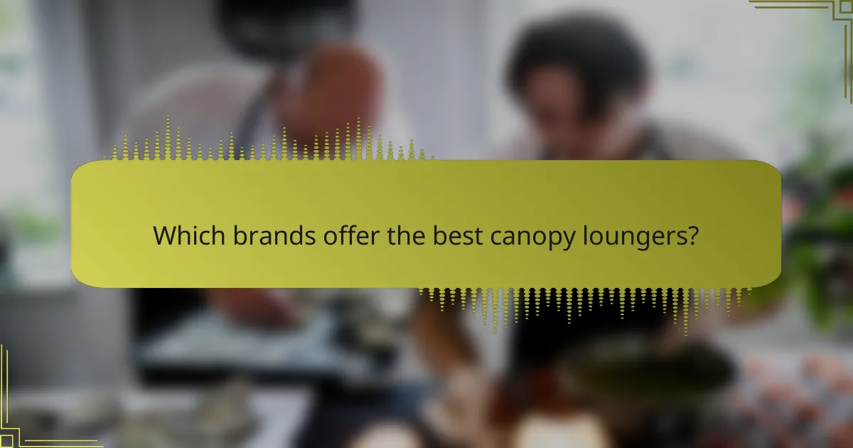 Which brands offer the best canopy loungers?