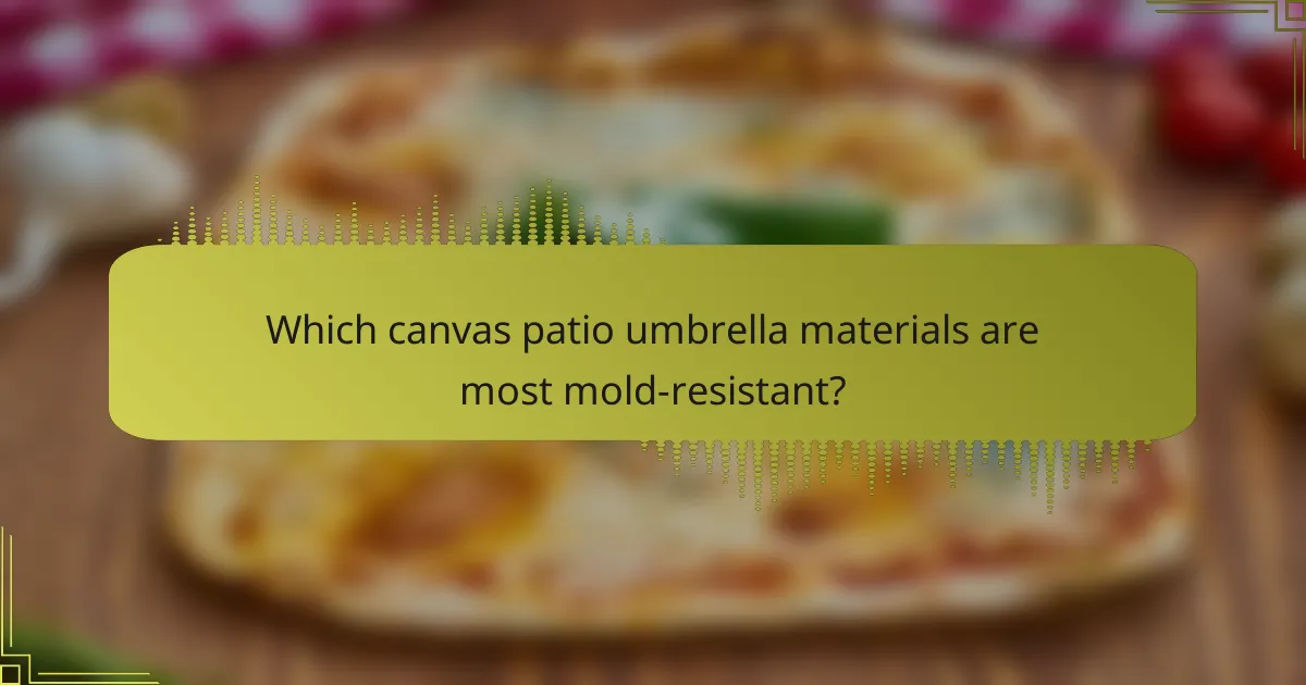 Which canvas patio umbrella materials are most mold-resistant?