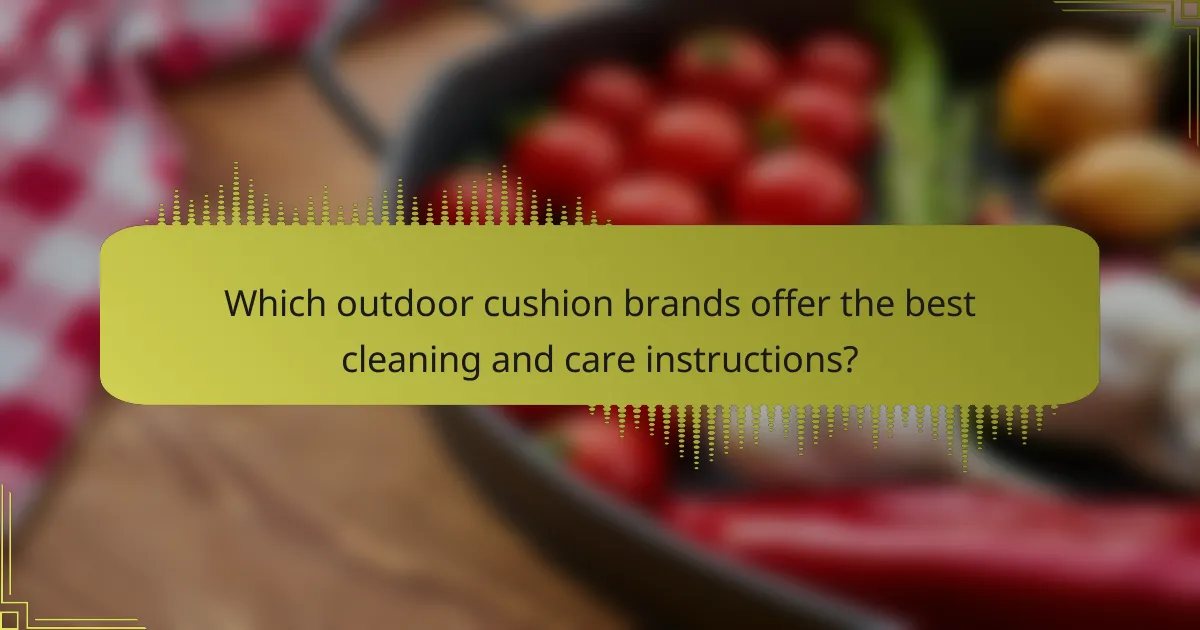 Which outdoor cushion brands offer the best cleaning and care instructions?