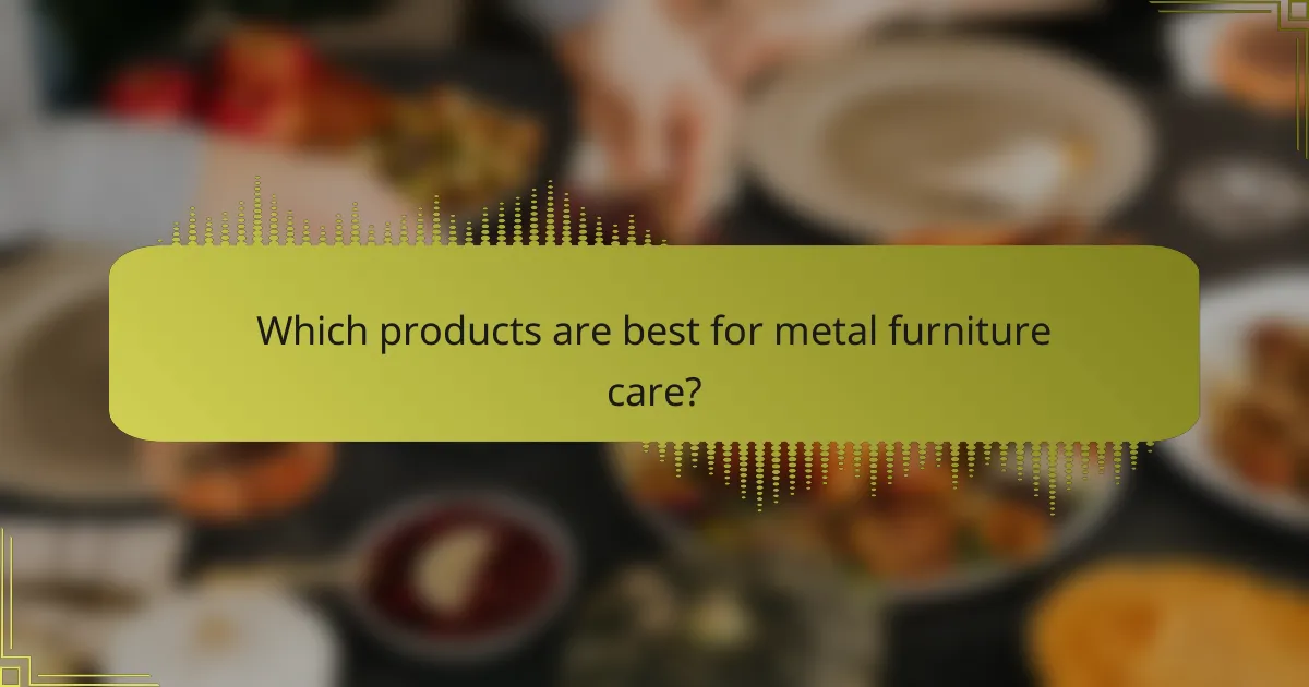 Which products are best for metal furniture care?