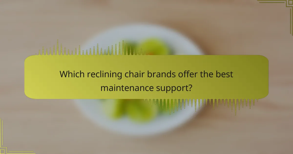 Which reclining chair brands offer the best maintenance support?
